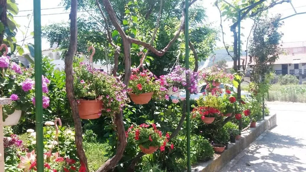 House Lopar Apartment